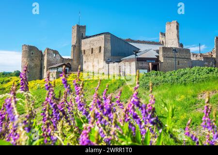 Blick auf die Mauern und Türme der mittelalterlichen Burg in Rakvere. Estland, Baltische Staaten Stockfoto