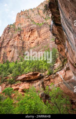 Zion National Park in Utah, USA Stockfoto