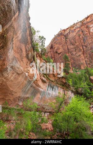 Zion National Park in Utah, USA Stockfoto