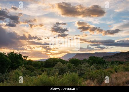 Zion National Park in Utah, USA Stockfoto