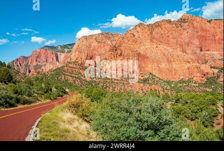 Die Scenic Road durch den Zion-Nationalpark in Utah, USA Stockfoto