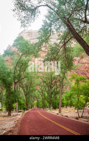 Die Scenic Road durch den Zion-Nationalpark in Utah, USA Stockfoto