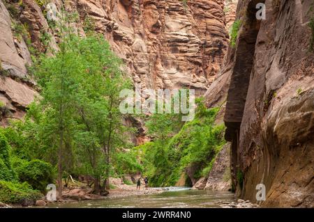 The Narrows, Mountain Pass im Zion National Park in Utah, USA Stockfoto