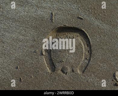 Einzelner klarer Hufdruck auf Ballywalter Beach County Down Stockfoto