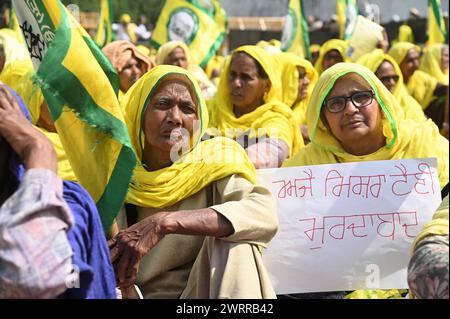 Delhi, Neu-Delhi, Indien. März 2024. Bauernfrauen sitzen am 14. März 2024 in der Sonne, um gegen garantierte Erntepreise in Neu-Delhi, Indien, zu protestieren (Foto: © Deep Nair/ZUMA Press Wire) NUR REDAKTIONELLE VERWENDUNG! Nicht für kommerzielle ZWECKE! Stockfoto
