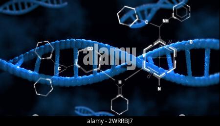 Bild der dna, die sich über chemische Formeln dreht, auf schwarzem Hintergrund Stockfoto