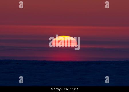 Sonnenuntergang im späten Winter direkt über dem Horizont hinter dem Packeis über dem Beaufort Meer und vor der Küste des arktischen Dorfes Kaktovik Alaska Stockfoto