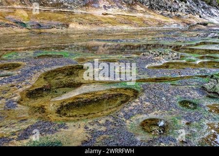 Die pulsierenden Gezeitenpools am Botanical Beach, Port Renfrew, Vancouver Island, British Columbia, Kanada Stockfoto