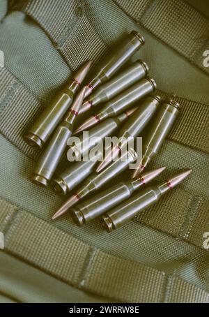 Zwölf Gewehrkugeln auf Einem Entladesystem für Gürtel von Molle Stockfoto