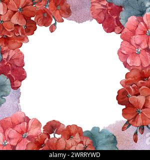 Rahmen mit roten Geranienblüten und Blättern. Vorlage für Karten mit handgezeichneter Aquarellabbildung. Stockfoto