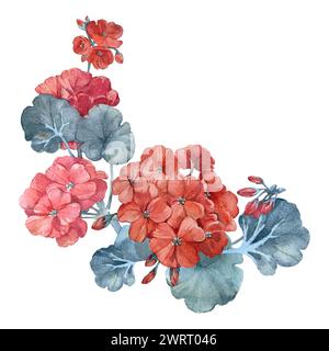 Zusammensetzung mit Zweigen und Blüten der Geranie. Handgezeichnete Aquarellillustration. Vorlage für Karte Stockfoto