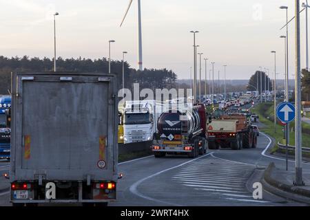 Gent, Belgien. März 2024. Während eines Bauernprotests, der am Donnerstag, den 14. März 2024 den Zugang von LKWs zum Hafen von Gent blockierte, stecken Autos und LKWs in Staus fest. Zwei unabhängige Junglandwirte-Verbände protestieren weiterhin gegen die strengen Stickstoffvorschriften für Landwirte. Durch die Sperrung der Häfen wollen die Landwirte darauf hinweisen, dass es vor allem die Industrie ist, die Stickstoff ausstößt, und nicht die Landwirtschaft. BELGA FOTO NICOLAS MAETERLINCK Credit: Belga News Agency/Alamy Live News Stockfoto