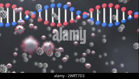 Bild eines 3D-DNA-Strangs, der sich mit COVID-19-Coronavirus-Zellen dreht, die auf schwarzem Hintergrund schweben Stockfoto