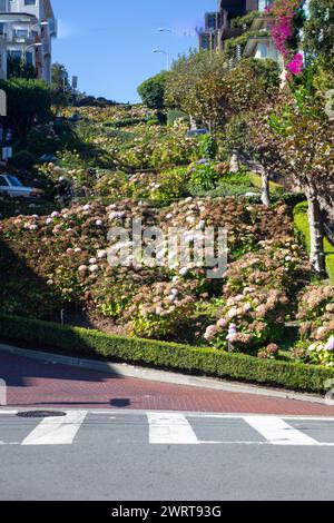 Aufwärtsaufnahme der Lombard Street in San Francisco Stockfoto