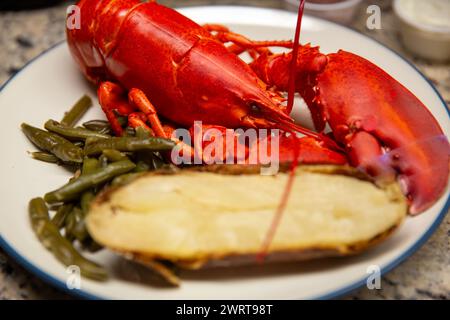 Gekochtes Hummer-Abendessen mit zwei Seiten Stockfoto