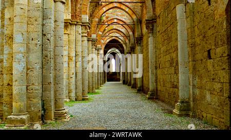 20-10-2023 Siena, Italien. Beeindruckender Säulengang der Abtei von San Galgano. Toskana. Stockfoto