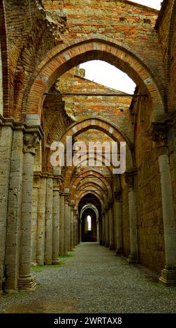 20-10-2023 Siena, Italien. Beeindruckender Säulengang der Abtei von San Galgano. Toskana. Stockfoto