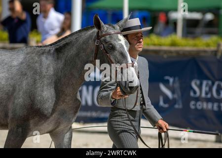 Portugal, Region Alentejo, Golega, Mann in traditioneller Tracht, der dem Publikum auf der Pferdemesse „Mares and Fohlen“ einen Colt präsentiert Stockfoto