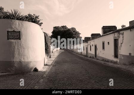 Portugal, Region Alentejo, Golega, Terrasse der Kunsthandwerkshäuser, die mit der Quinta Guadalupe auf der Rua José Farinha Relvas verbunden sind Stockfoto