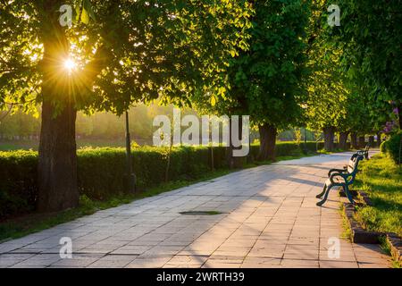 avenue mit Kastanienbäumen. Bank an der Seite eines gepflasterten Fußwegs. Wunderschöne urbane Frühlingslandschaft der Stadt uschhorod im Morgenlicht Stockfoto