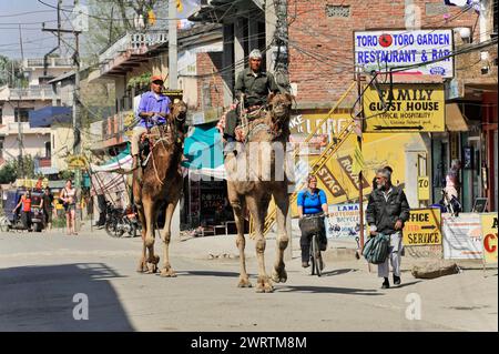 Zwei Reiter auf Kamelen auf einer belebten Straße mit Stadtschildern und Geschäften, Chitwan National Park, Bhairahawa, Nepal Stockfoto