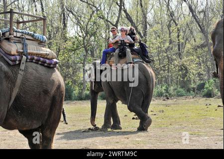 Gruppe von Menschen mit Helmen auf einer Elefanten-Safari in einer grünen Umgebung, Chitwan National Park, Nepal Stockfoto