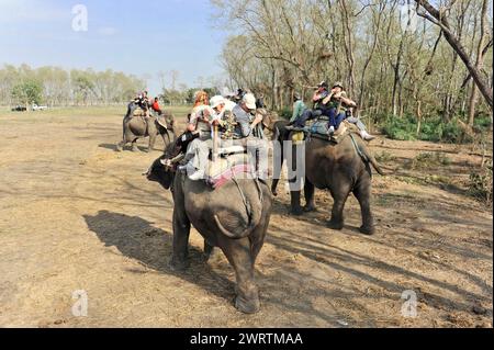 Eine Gruppe von Touristen, die Elefanten in einer linearen Formation durch den Wald reiten, Chitwan National Park, Nepal Stockfoto