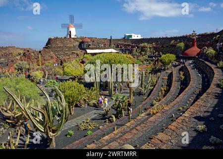 Kaktusgarten, Jardin de Cactus, entworfen vom Künstler Cesar Manrique, hinter der restaurierten Gofio-Mühle, Lanzarote, Kanarische Inseln Stockfoto