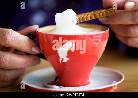 Tasse Cappuccino, Kaffeegetränk, aufgeschäumte Milch, Sahne, Gebäck Stockfoto