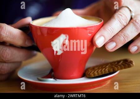 Tasse Cappuccino, Kaffeegetränk, aufgeschäumte Milch, Sahne, Kekse, Kaffeelöffel Stockfoto