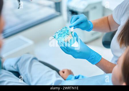 Zahnärztin hält Gebiss- und Zahnbürstenmodell in der Hand Stockfoto