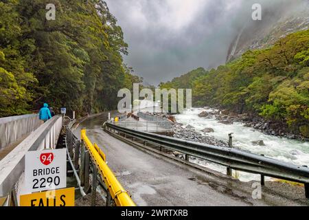 Der Hollyford River (Whakatipu Ka Tuka), der von einer Brücke über einen geschwollenen Falls Creek aus gesehen wird, tobt entlang des State Highway 94, der Straße zum Milford Sound. Stockfoto