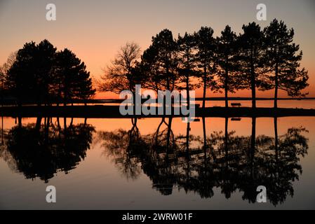 Sonnenuntergang und Reflexionen im Andrew Haydon Park Stockfoto