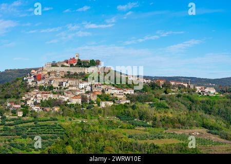 Motovun wunderschönes Steindorf auf einem Hügel in der kroatischen Gegend, auch kroatische Toskana genannt Stockfoto