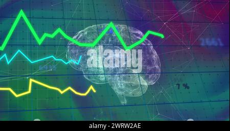Abbildung von Diagrammen, wechselnden Zahlen und verbundenen Punkten über dem digitalen menschlichen Gehirn Stockfoto