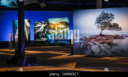 Oberhausen, Deutschland. März 2024. Allgemeine Ansicht. „Planet Ozean“ (Planet Ozean) wird vom 15. März bis Ende Dezember 2024 in diesem beliebten Ausstellungsort gezeigt. Die Ausstellung veranschaulicht die Schönheit der Ozeanwelt sowie ihre ökologischen Herausforderungen. Es umfasst rund 160 großformatige Fotos, Videos, Sound sowie weitere Exponate aus der ozeanischen und natürlichen Umwelt, darunter die 40 Meter hohe Leinwand und die immersive „die Welle“-Projektion im Inneren des alten Gasometerbaus. Quelle: Imageplotter/Alamy Live News Stockfoto