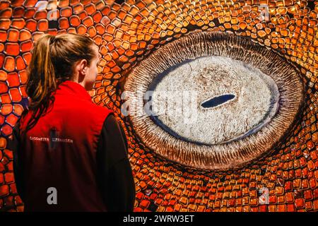 Oberhausen, Deutschland. März 2024. Museumsmitarbeiter posieren mit einer der Ausstellungen, „Mosaiksteinchen“ von Kat Zhou, einer Detailaufnahme des Auges eines Ammenhais auf den Bahamas. „Planet Ozean“ (Planet Ozean) wird vom 15. März bis Ende Dezember 2024 in diesem beliebten Ausstellungsort gezeigt. Die Ausstellung veranschaulicht die Schönheit der Ozeanwelt sowie ihre ökologischen Herausforderungen. Es umfasst rund 160 großformatige Fotos, Videos, Sound sowie weitere Exponate aus der ozeanischen und natürlichen Welt, darunter die 40 Meter hohe Leinwand und die immersive „die Welle“ (Th Stockfoto