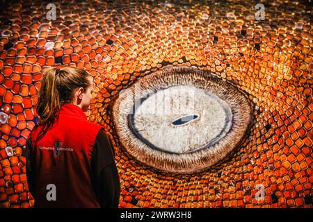 Oberhausen, Deutschland. März 2024. Museumsmitarbeiter posieren mit einer der Ausstellungen, „Mosaiksteinchen“ von Kat Zhou, einer Detailaufnahme des Auges eines Ammenhais auf den Bahamas. „Planet Ozean“ (Planet Ozean) wird vom 15. März bis Ende Dezember 2024 in diesem beliebten Ausstellungsort gezeigt. Die Ausstellung veranschaulicht die Schönheit der Ozeanwelt sowie ihre ökologischen Herausforderungen. Es umfasst rund 160 großformatige Fotos, Videos, Sound sowie weitere Exponate aus der ozeanischen und natürlichen Welt, darunter die 40 Meter hohe Leinwand und die immersive „die Welle“ (Th Stockfoto