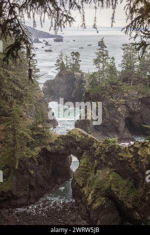 Im Samuel H Boardman Scenic Corridor im Süden Oregons ist Natural Bridges aufgrund der zerklüfteten Felsen und des Grüns einer der beliebtesten Orte Stockfoto