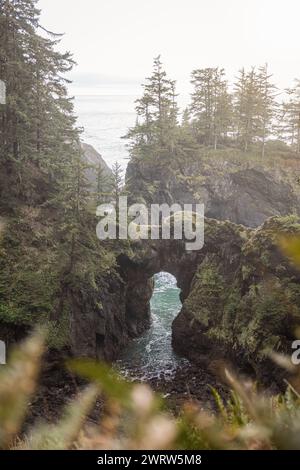 Im Samuel H Boardman Scenic Corridor im Süden Oregons ist Natural Bridges aufgrund der zerklüfteten Felsen und des Grüns einer der beliebtesten Orte Stockfoto