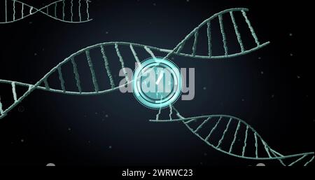 Bild der Uhr, die sich über dna-Stränge bewegt, auf schwarzem Hintergrund Stockfoto