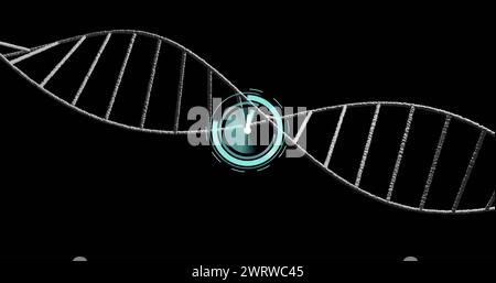 Bild der Uhr, die sich über den dna-Strang auf schwarzem Hintergrund bewegt Stockfoto