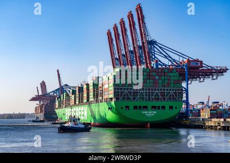 Containerschiff, das jemals begabt ist und im Hamburger Hafen, Waltershofer Hafen, HHLA Containerterminal Burchardkai ankommt, manövrieren 4 Hafenschlepper das Schiff Stockfoto