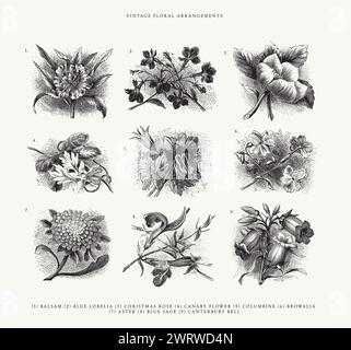 Set mit 9 handgezeichneten Blumen - Vintage Line Art Illustrationen Stock Vektor