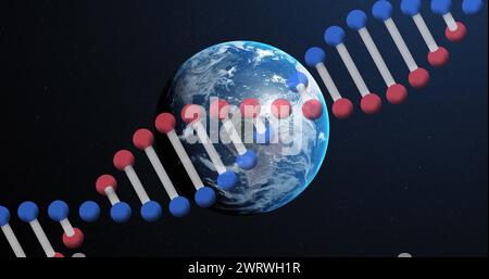 Bild eines dns-Strangs, der sich über den Globus dreht Stockfoto