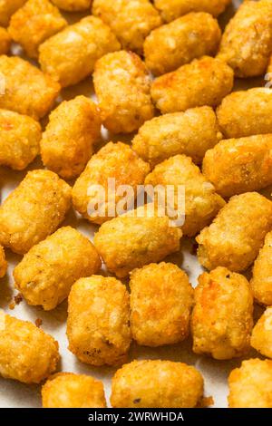 Hausgemachte gebackene gebratene Tater Tot Potatoes mit Ketchup Stockfoto