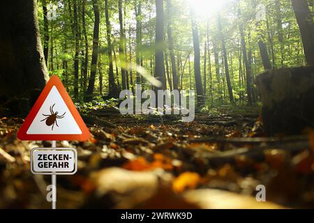 Warnschild für infizierte Zecken im Wald. Risiko von Zecken und Lyme-Borreliose. Stockfoto