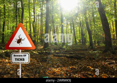 Warnschild für infizierte Zecken im Wald. Risiko von Zecken und Lyme-Borreliose. Stockfoto