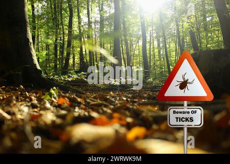 Warnschild für infizierte Zecken im Wald. Risiko von Zecken und Lyme-Borreliose. Stockfoto