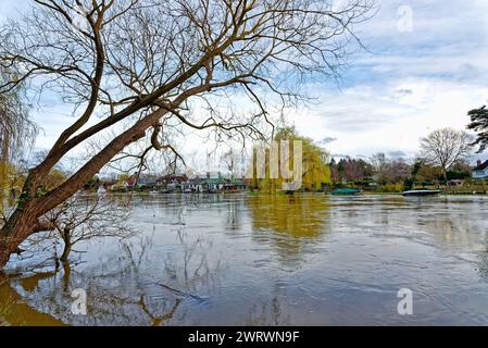 Die Themse in voller Flut bei Shepperton an einem Winter Abend Sonnenuntergang Surrey England Großbritannien Stockfoto